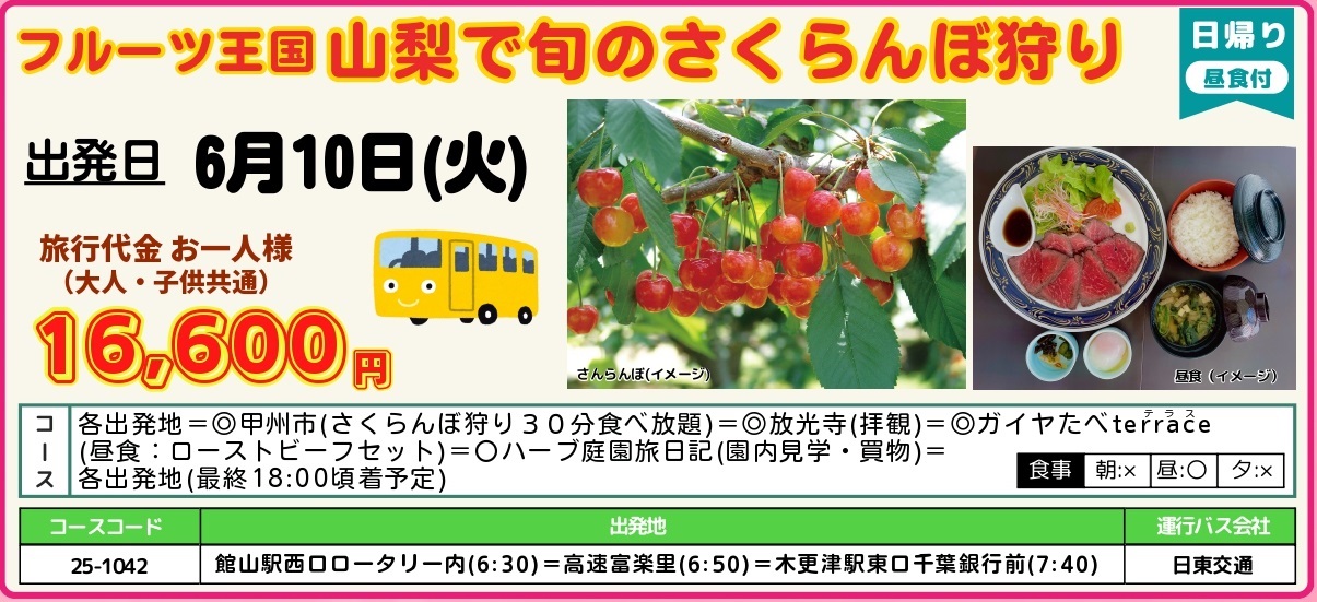 《山梨》日帰りバスツアー　京成✕日東コラボ　さくらんぼ狩り