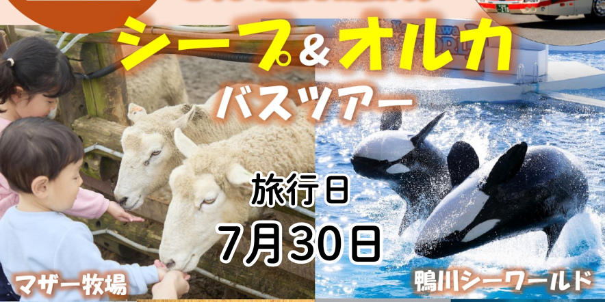 【創立100周年記念企画】<br>　夏休みシープ＆オルカ バスツアー<br>（マザー牧場・鴨川シーワールド）　　　※未成年者のみのグループも歓迎