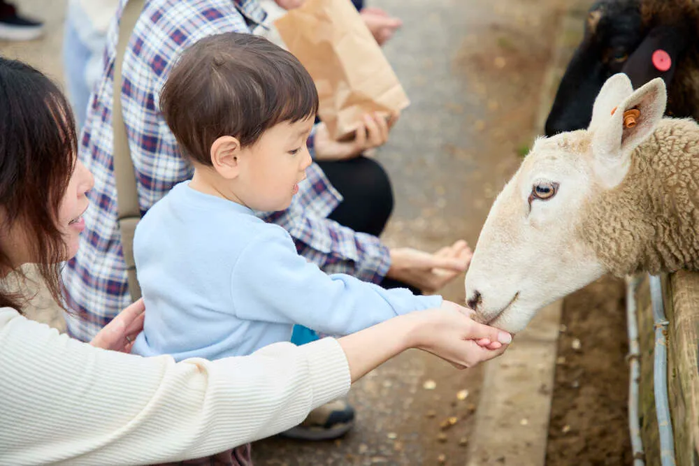 ツアーのイメージ写真01
