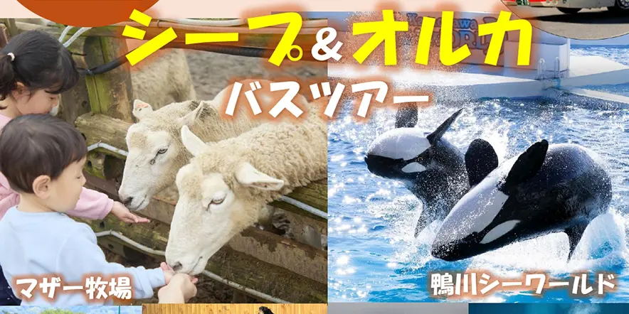 【創立100周年記念企画】<br>　シープ＆オルカ バスツアー<br>（マザー牧場・鴨川シーワールド）